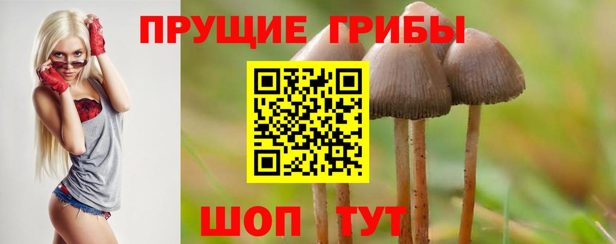 Качканар  цены наркотик  Вход с VPN  Галлюциногенные грибы Magic Shrooms 